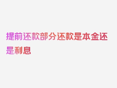 提前还款部分还款是本金还是利息