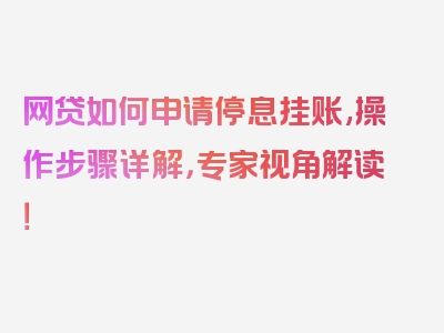 网贷如何申请停息挂账,操作步骤详解，专家视角解读！