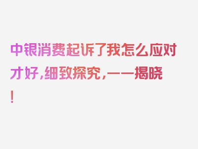 中银消费起诉了我怎么应对才好，细致探究，一一揭晓！