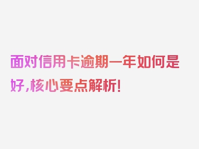 面对信用卡逾期一年如何是好，核心要点解析！