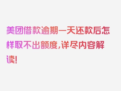 美团借款逾期一天还款后怎样取不出额度，详尽内容解读！