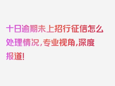 十日逾期未上招行征信怎么处理情况，专业视角，深度报道！