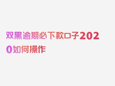 双黑逾期必下款口子2020如何操作