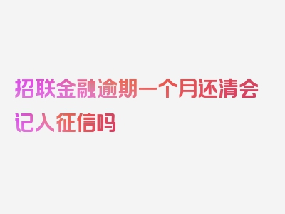 招联金融逾期一个月还清会记入征信吗