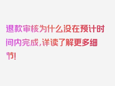 退款审核为什么没在预计时间内完成，详读了解更多细节！