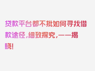 贷款平台都不批如何寻找借款途径，细致探究，一一揭晓！