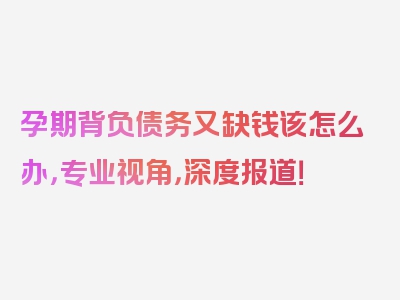 孕期背负债务又缺钱该怎么办，专业视角，深度报道！