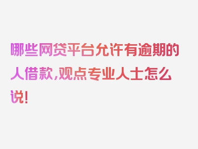 哪些网贷平台允许有逾期的人借款，观点专业人士怎么说！