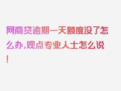 网商贷逾期一天额度没了怎么办，观点专业人士怎么说！