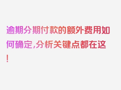 逾期分期付款的额外费用如何确定，分析关键点都在这！