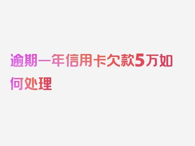 逾期一年信用卡欠款5万如何处理