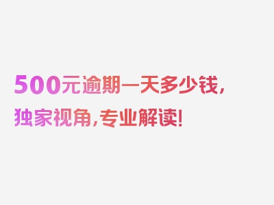 500元逾期一天多少钱，独家视角，专业解读！