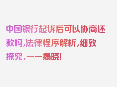 中国银行起诉后可以协商还款吗,法律程序解析，细致探究，一一揭晓！