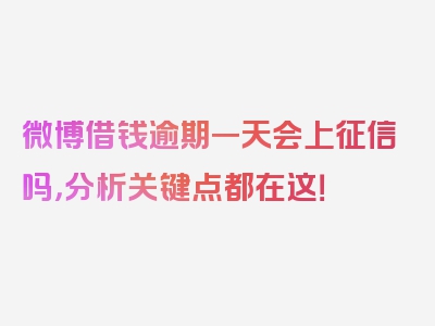 微博借钱逾期一天会上征信吗，分析关键点都在这！