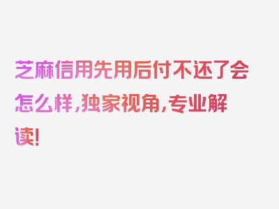 芝麻信用先用后付不还了会怎么样，独家视角，专业解读！