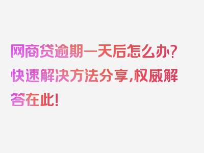 网商贷逾期一天后怎么办?快速解决方法分享，权威解答在此！