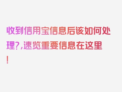 收到信用宝信息后该如何处理?，速览重要信息在这里！