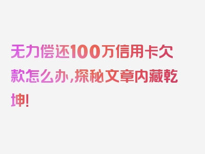 无力偿还100万信用卡欠款怎么办，探秘文章内藏乾坤！