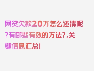 网贷欠款20万怎么还清呢?有哪些有效的方法?，关键信息汇总！