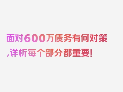 面对600万债务有何对策，详析每个部分都重要！