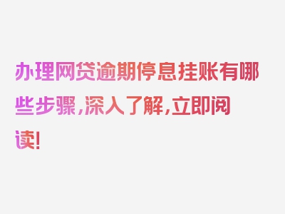 办理网贷逾期停息挂账有哪些步骤，深入了解，立即阅读！