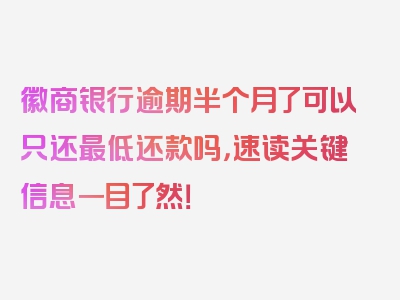 徽商银行逾期半个月了可以只还最低还款吗，速读关键信息一目了然！