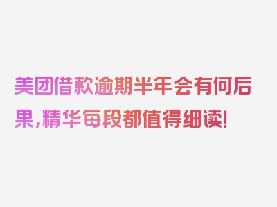 美团借款逾期半年会有何后果，精华每段都值得细读！