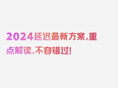 2024延迟最新方案，重点解读，不容错过！