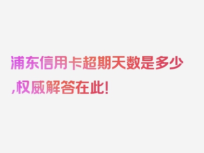 浦东信用卡超期天数是多少，权威解答在此！