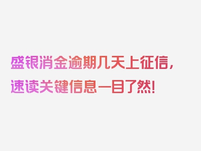 盛银消金逾期几天上征信，速读关键信息一目了然！