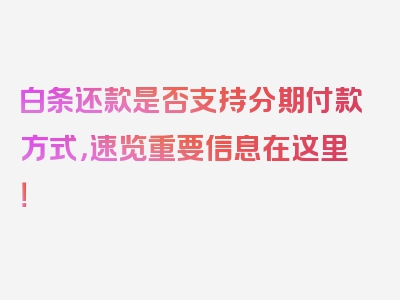 白条还款是否支持分期付款方式，速览重要信息在这里！