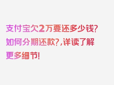 支付宝欠2万要还多少钱?如何分期还款?，详读了解更多细节！