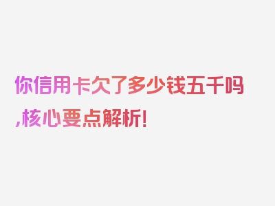 你信用卡欠了多少钱五千吗，核心要点解析！