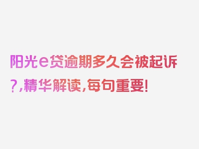 阳光e贷逾期多久会被起诉?，精华解读，每句重要！