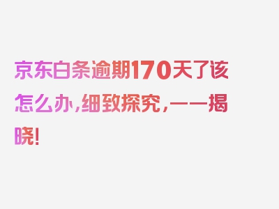 京东白条逾期170天了该怎么办，细致探究，一一揭晓！