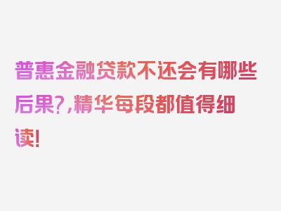 普惠金融贷款不还会有哪些后果?，精华每段都值得细读！