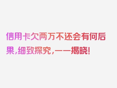 信用卡欠两万不还会有何后果，细致探究，一一揭晓！