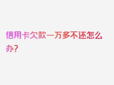 信用卡欠款一万多不还怎么办？