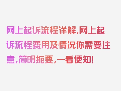 网上起诉流程详解,网上起诉流程费用及情况你需要注意，简明扼要，一看便知！