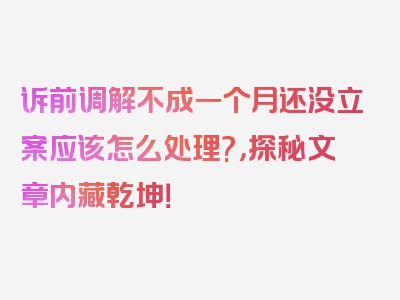 诉前调解不成一个月还没立案应该怎么处理?，探秘文章内藏乾坤！