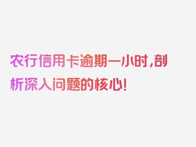 农行信用卡逾期一小时，剖析深入问题的核心！