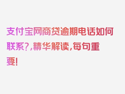 支付宝网商贷逾期电话如何联系?，精华解读，每句重要！