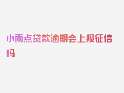 小雨点贷款逾期会上报征信吗