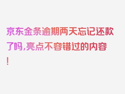 京东金条逾期两天忘记还款了吗，亮点不容错过的内容！