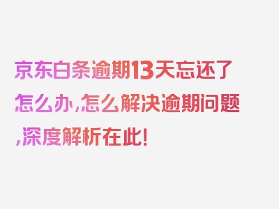 京东白条逾期13天忘还了怎么办,怎么解决逾期问题，深度解析在此！