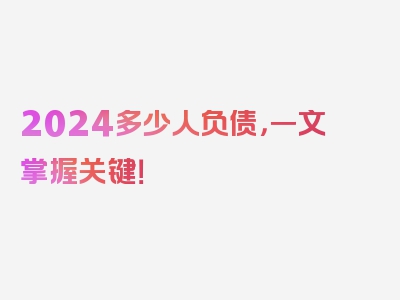 2024多少人负债，一文掌握关键！