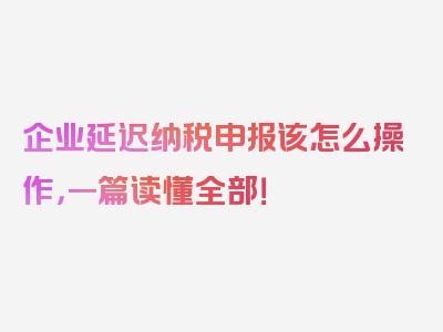 企业延迟纳税申报该怎么操作，一篇读懂全部！