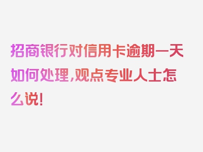 招商银行对信用卡逾期一天如何处理，观点专业人士怎么说！