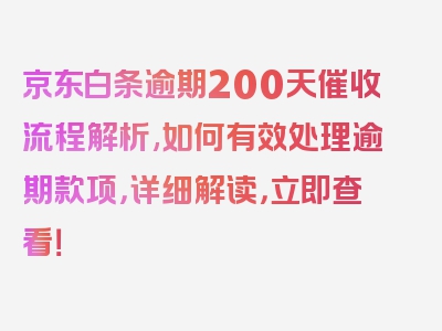 京东白条逾期200天催收流程解析,如何有效处理逾期款项，详细解读，立即查看！