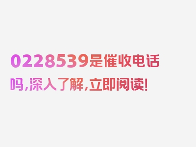 0228539是催收电话吗，深入了解，立即阅读！